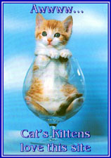 Cat's Kittens 'Love This Site Award', 'Another Cutey'