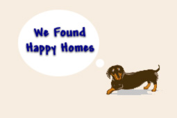 We Found Happy Homes