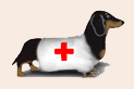 Medical Doxie