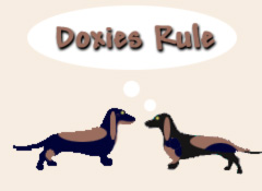 Doxie