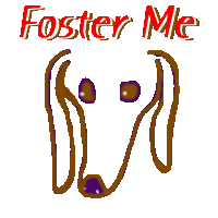 FOSTER ME