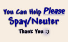 PLEASE Spay/Neuter