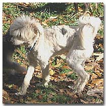 Duncan