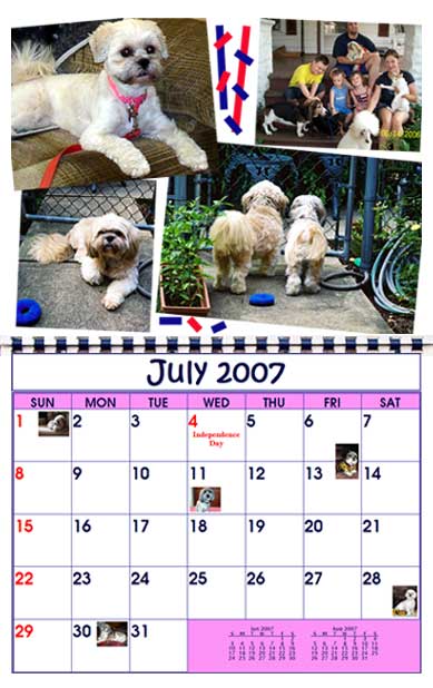 BMK Designs Calendar Lhasa Rescue Dogs