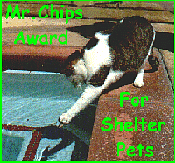 Mr Chips Shelter Pets Award