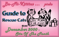 Rescue Guide For Cats - December 2000 Site of the Month'