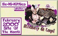 Mickey & Lupi's - February 2000 Site of the Month'