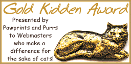 Golden Kidden Award