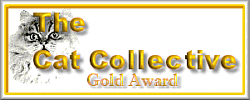 Cat Collective Award