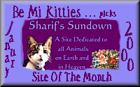 Sharif's Sundown - 'January 2000 site of the month'