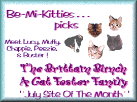 The Brittian Bunch - A Cat Foster Care Family