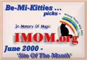 In Memory Of Magic - June 2000 Site of the Month'