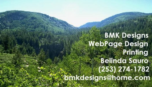 BMK Designs Business Card - Use Your Photo