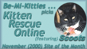 Kitten Rescue Online - November 2000 Site of the Month'