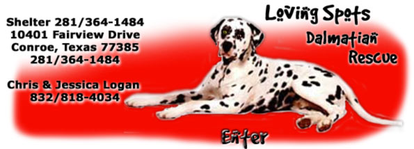 Loving Spots Dalmatian Rescue © LSDR (designed by BMK Designs)