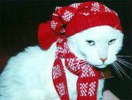 Blondie in her Hat