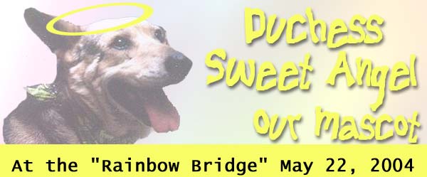 Our 'Duchess has gone to the the Rainbow Bridge'