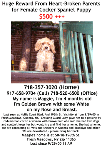 Maggie, we desperately want her home, if you have info ... call 718-357-3020 or 718-520-6500