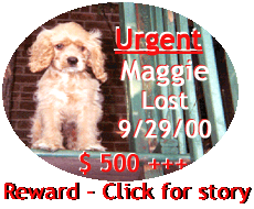 Maggie - Please Help Us Find Her