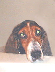 Maggie