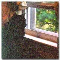 Charmed looking out the window, a favorite past time ...