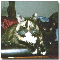 Muiesette and TC (Charmed�s siblings)