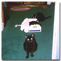 TC and Beauty, saying their goodbyes to Charmed ...