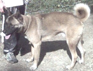 Are You Chances Special Lifetime Friend?