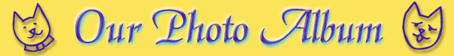 Our Photo Album