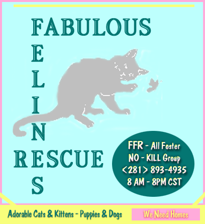 'Fabulous Felines Rescue - Please take one (or more) of us home!' Logo &copy; FFR