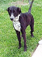 Spock 'happy - go - lucky'!