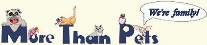 More Than Pets