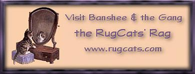 'Come meet the gang at the Rug Cats Rag!