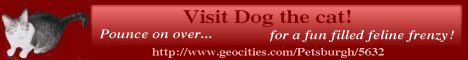 Visit Dog the Cat
