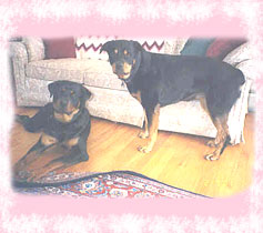 Deja - Home At Last!