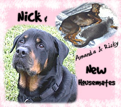 Hello, I'm Nick and these are 2 of my Housemates