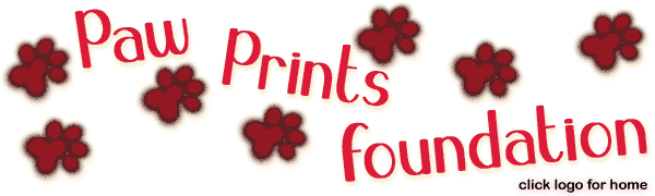 &copy;Paw Prints Foundation - Animal Rescue